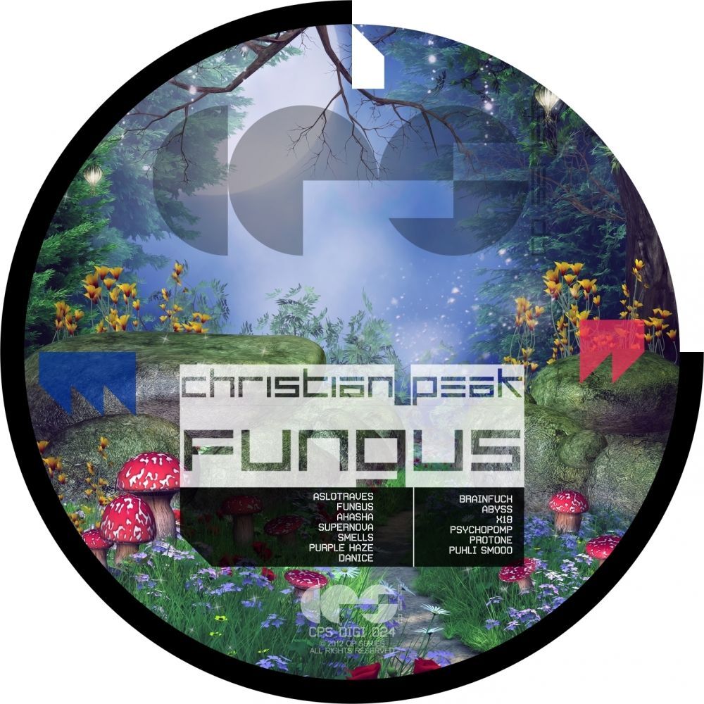 Picture of Fungus
