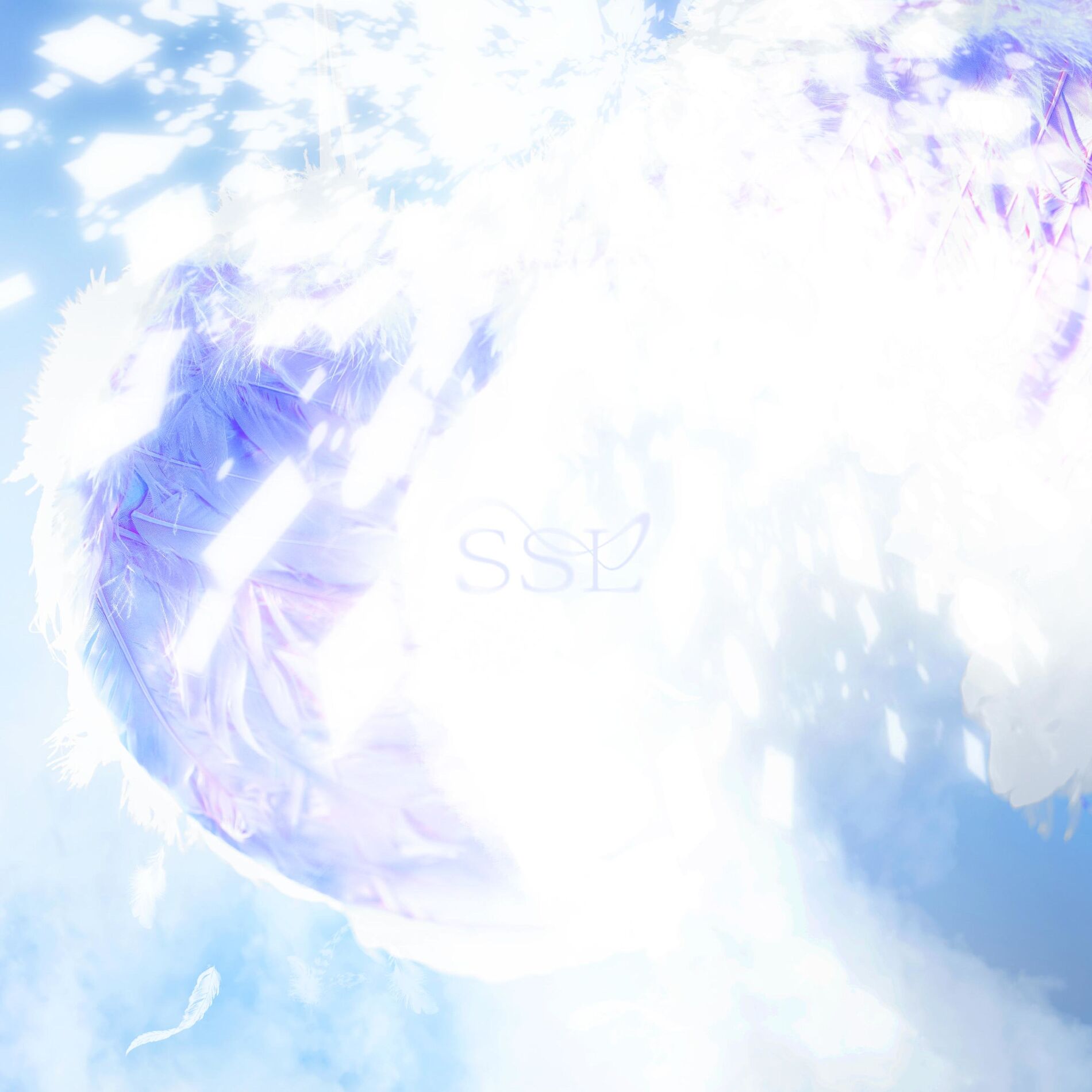 Album cover of SUNSHIN3LOV3R