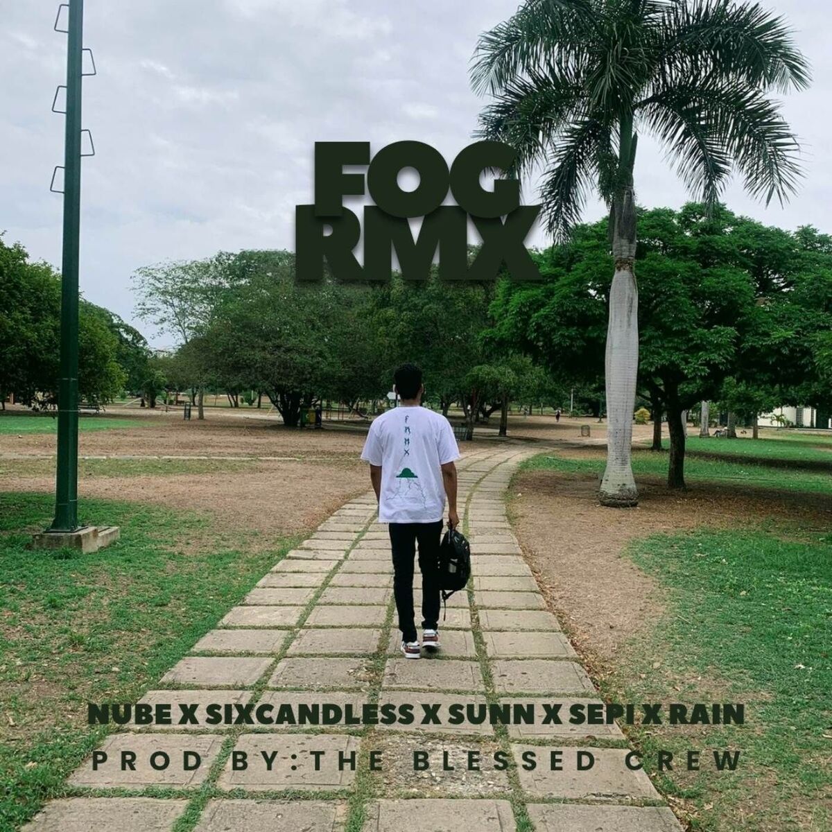 Album cover of Fog (Remix)