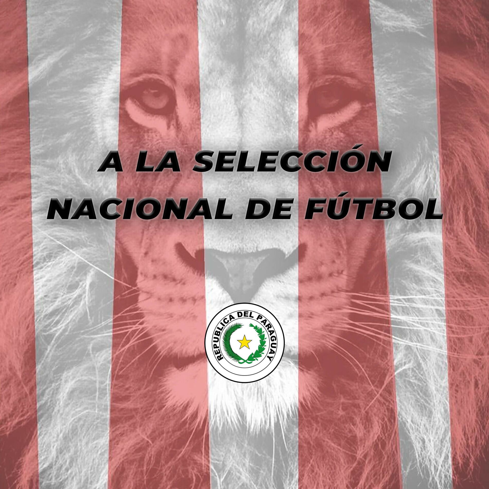 Album cover of A la Selección Nacional de Fútbol