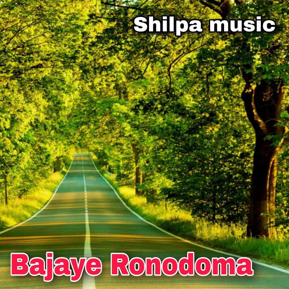 Picture of Bajaye Ronodoma