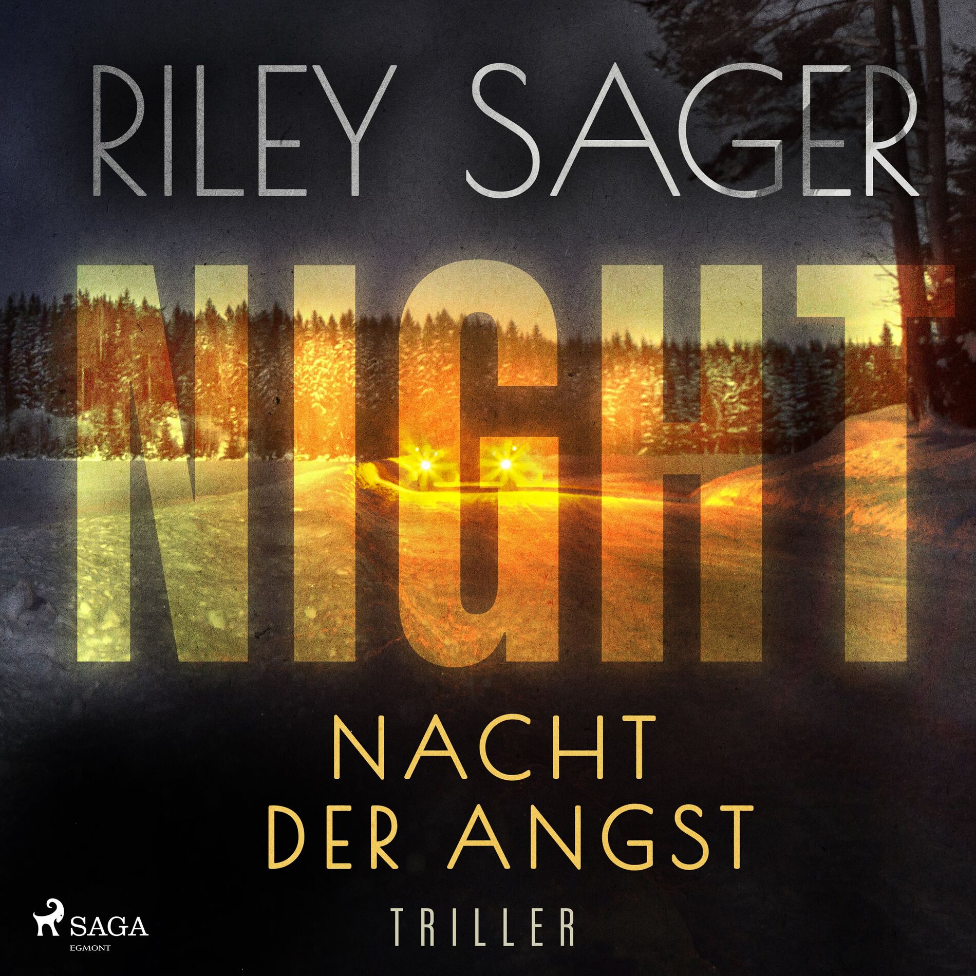Album cover of NIGHT – Nacht der Angst