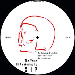 Cover of The Voice of Awakening