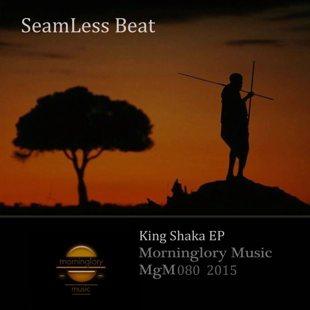 Picture of King Shaka