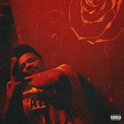 Cover of Real Nigga Privileges