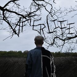 Cover of afterlife.