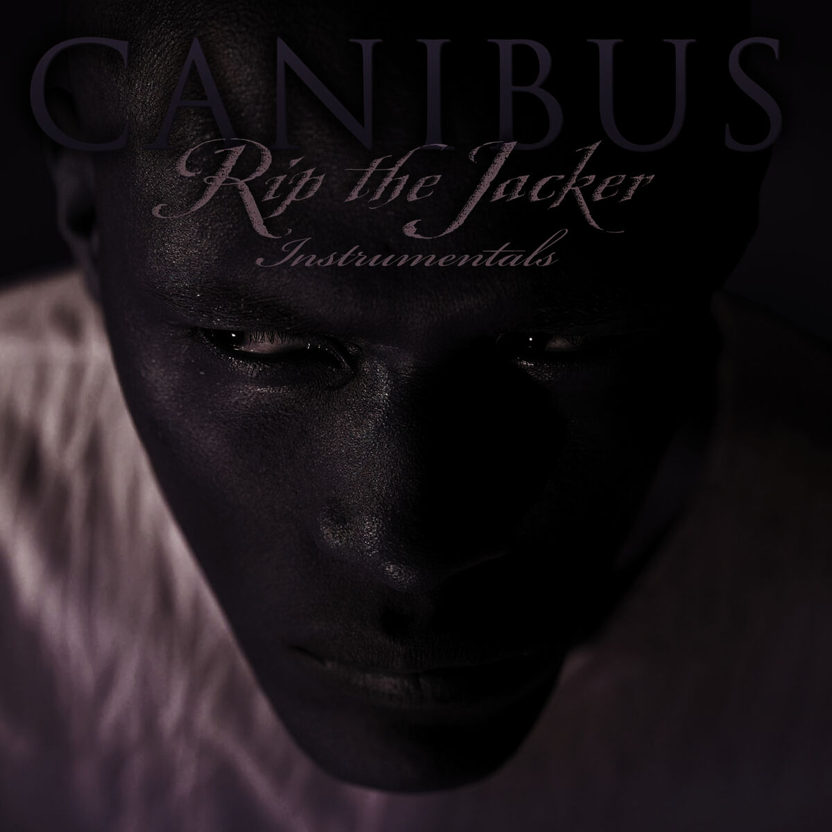 Album cover of Rip The Jacker Instrumentals