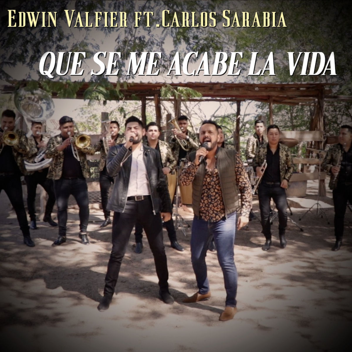 Album cover of Que Se Me Acabe La Vida