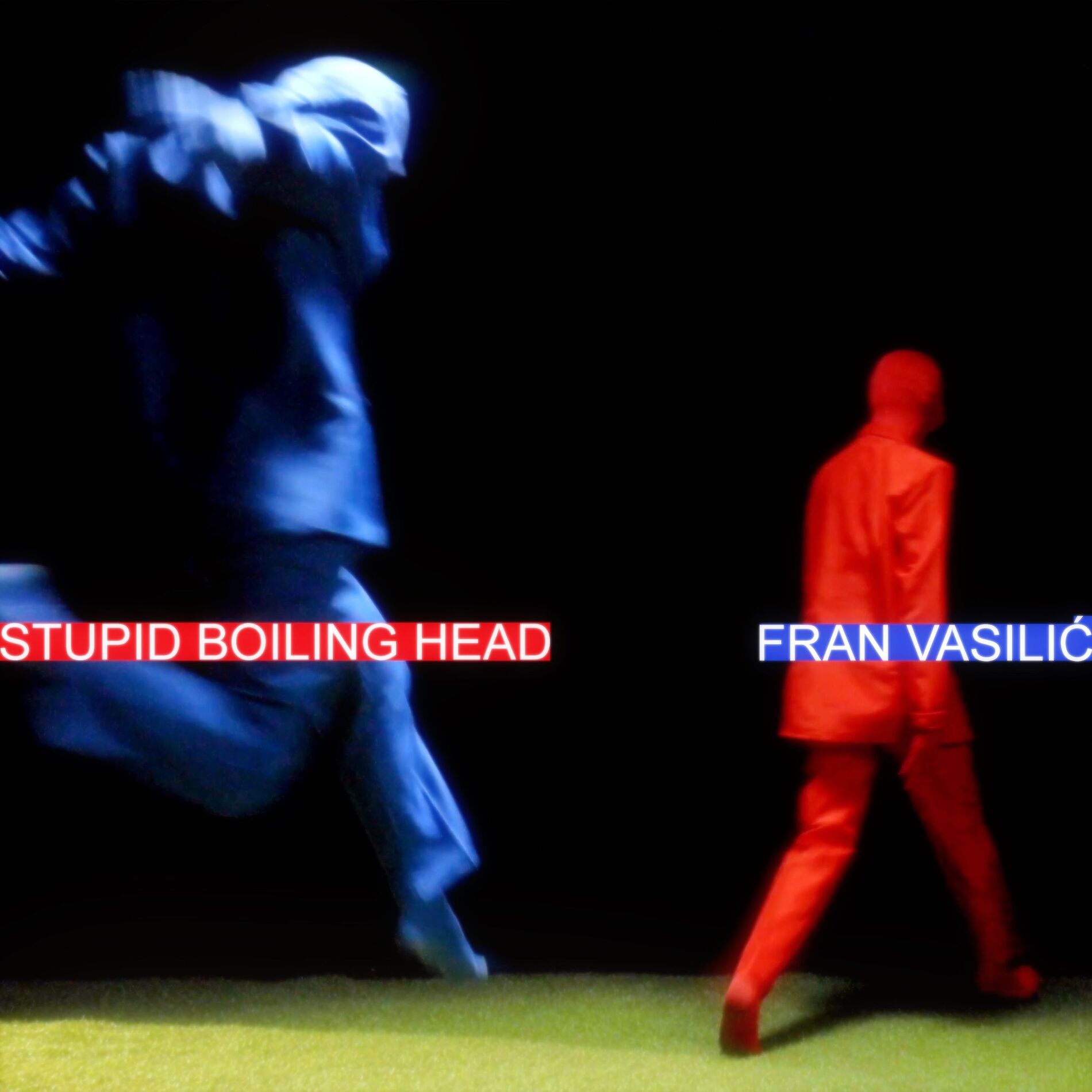 Album cover of Stupid Boiling Head