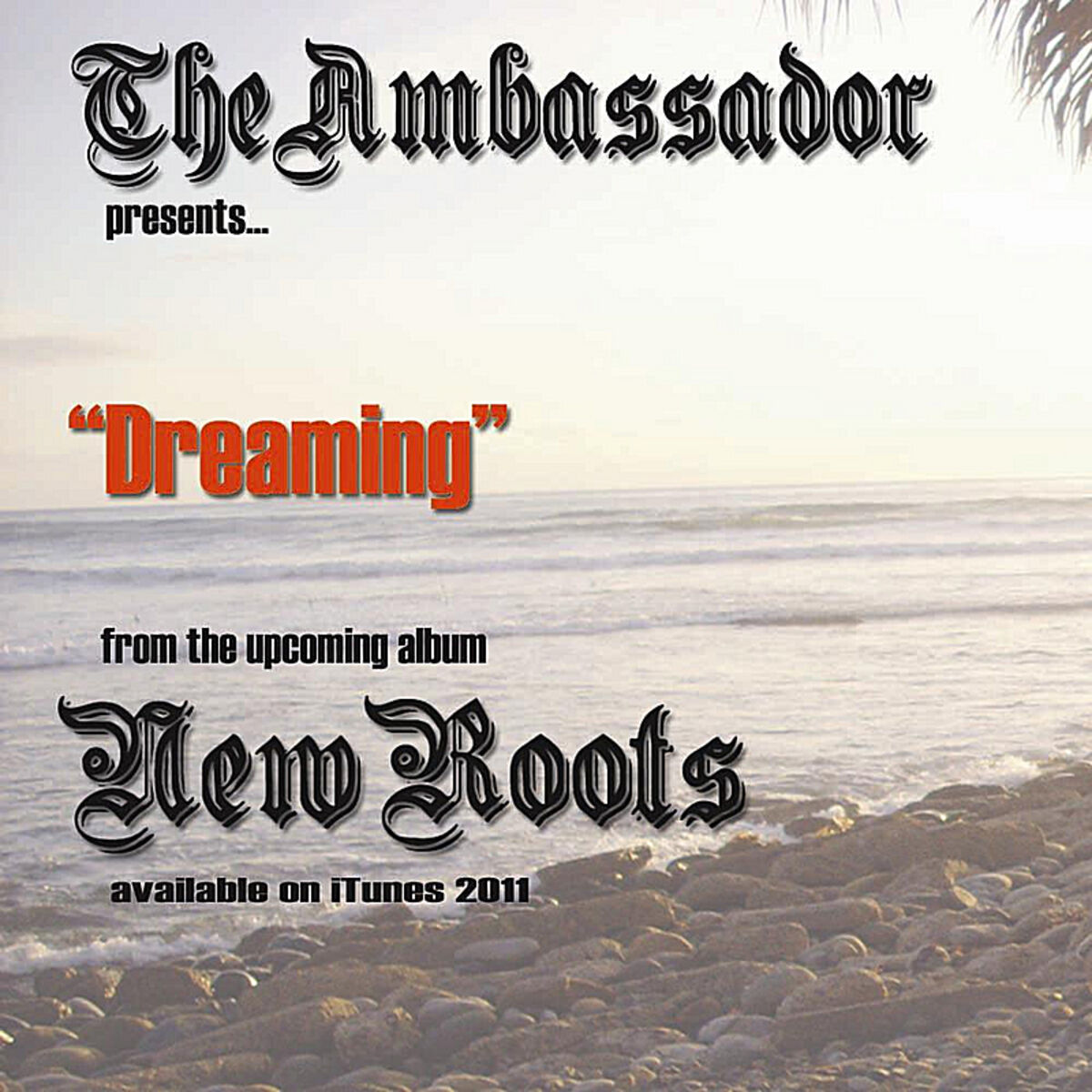 Album cover of Dreaming