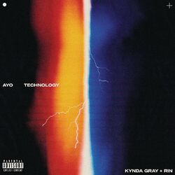 Cover of Ayo Technology