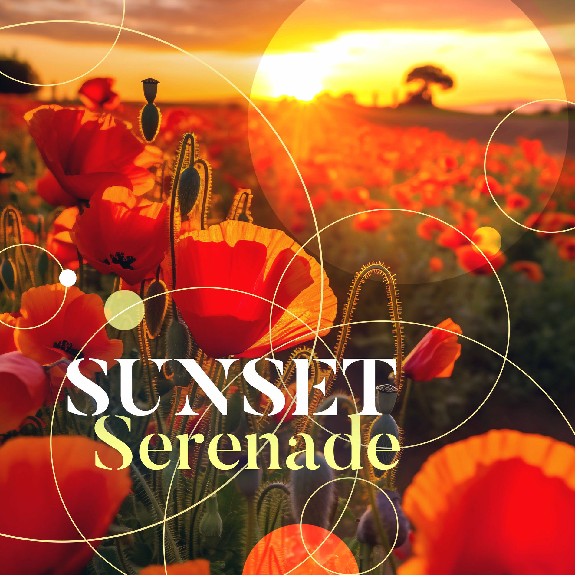 Album cover of Sunset Serenade