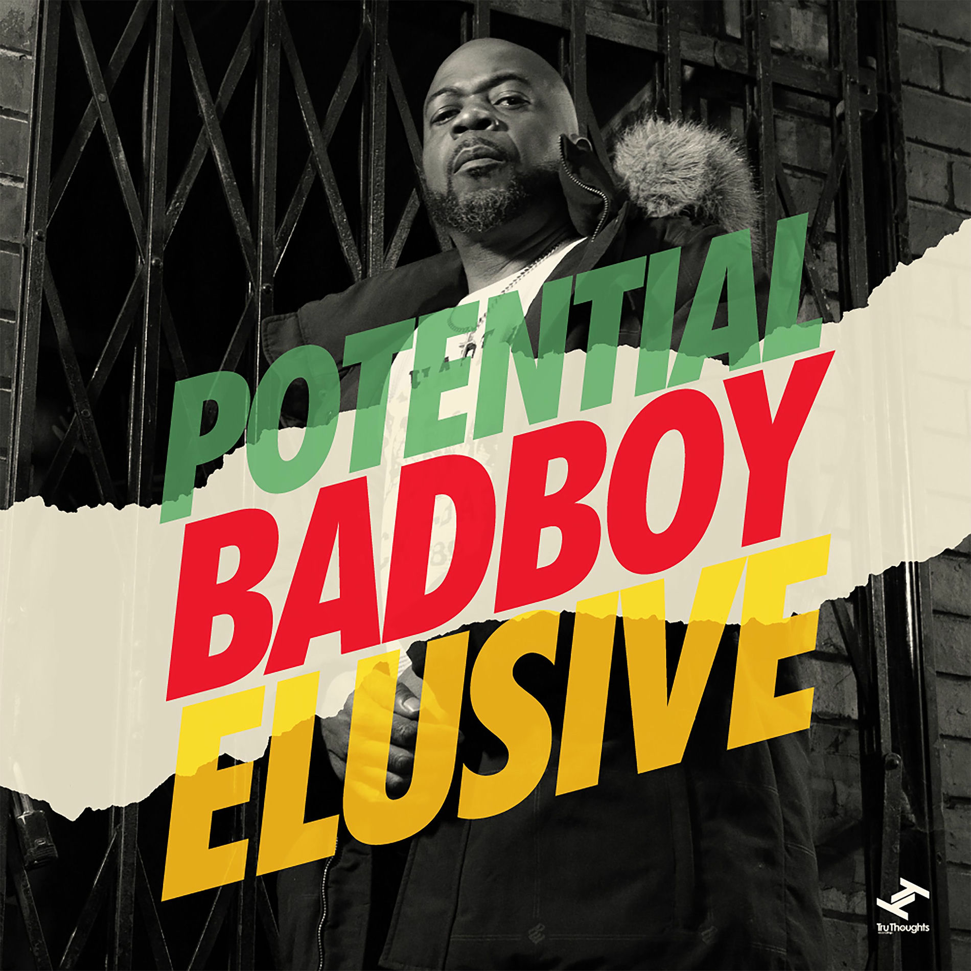 Album cover of Elusive
