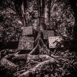 Cover of Harmony of Difference