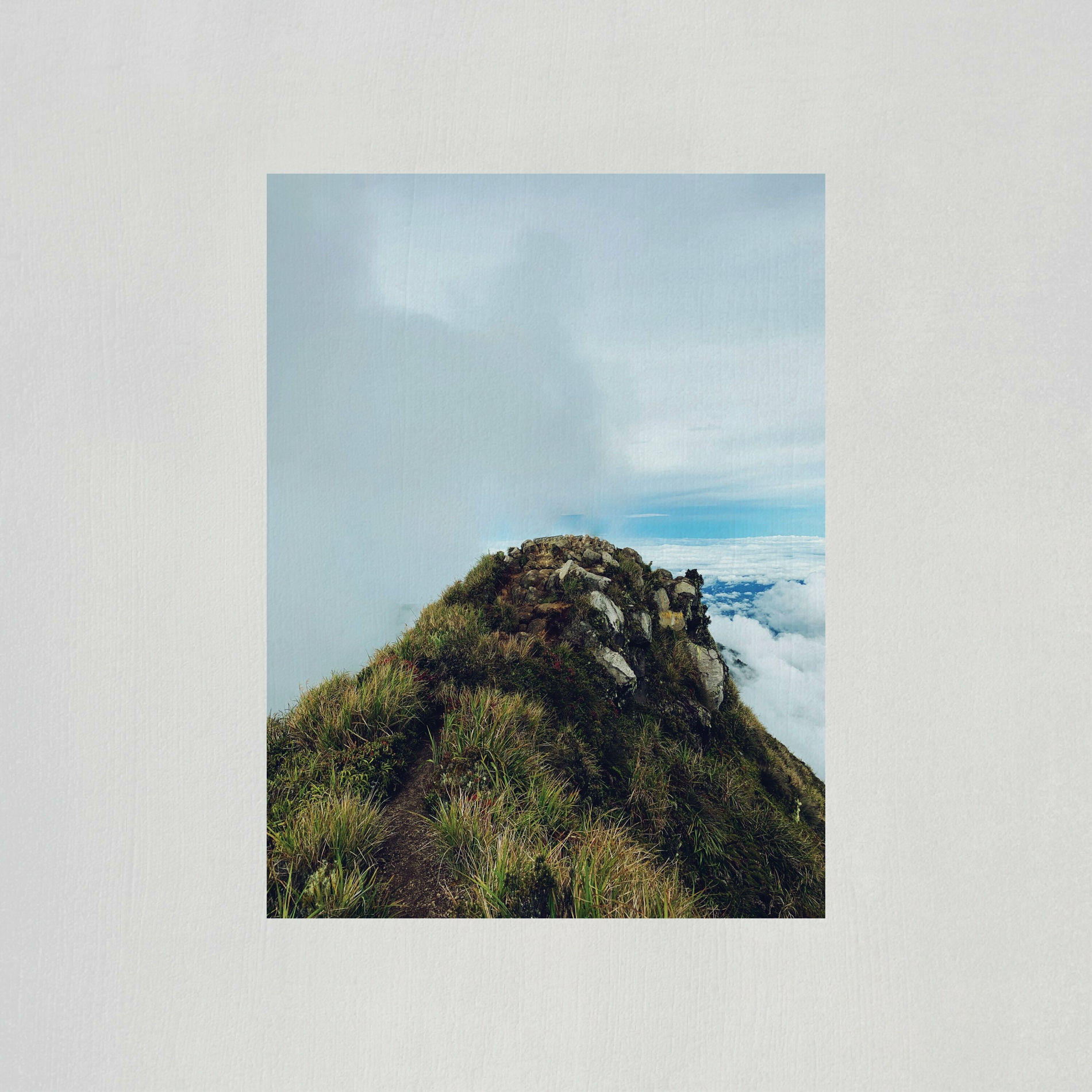 Album cover of Salig