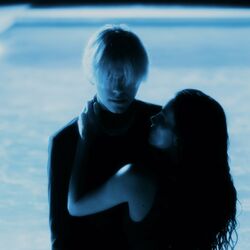 Cover of Traumatized