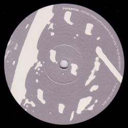Cover of Potential 002