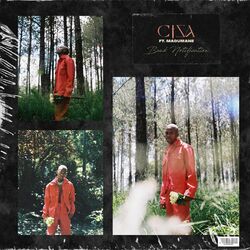 Cover of Bank Notification (feat. Madumane)