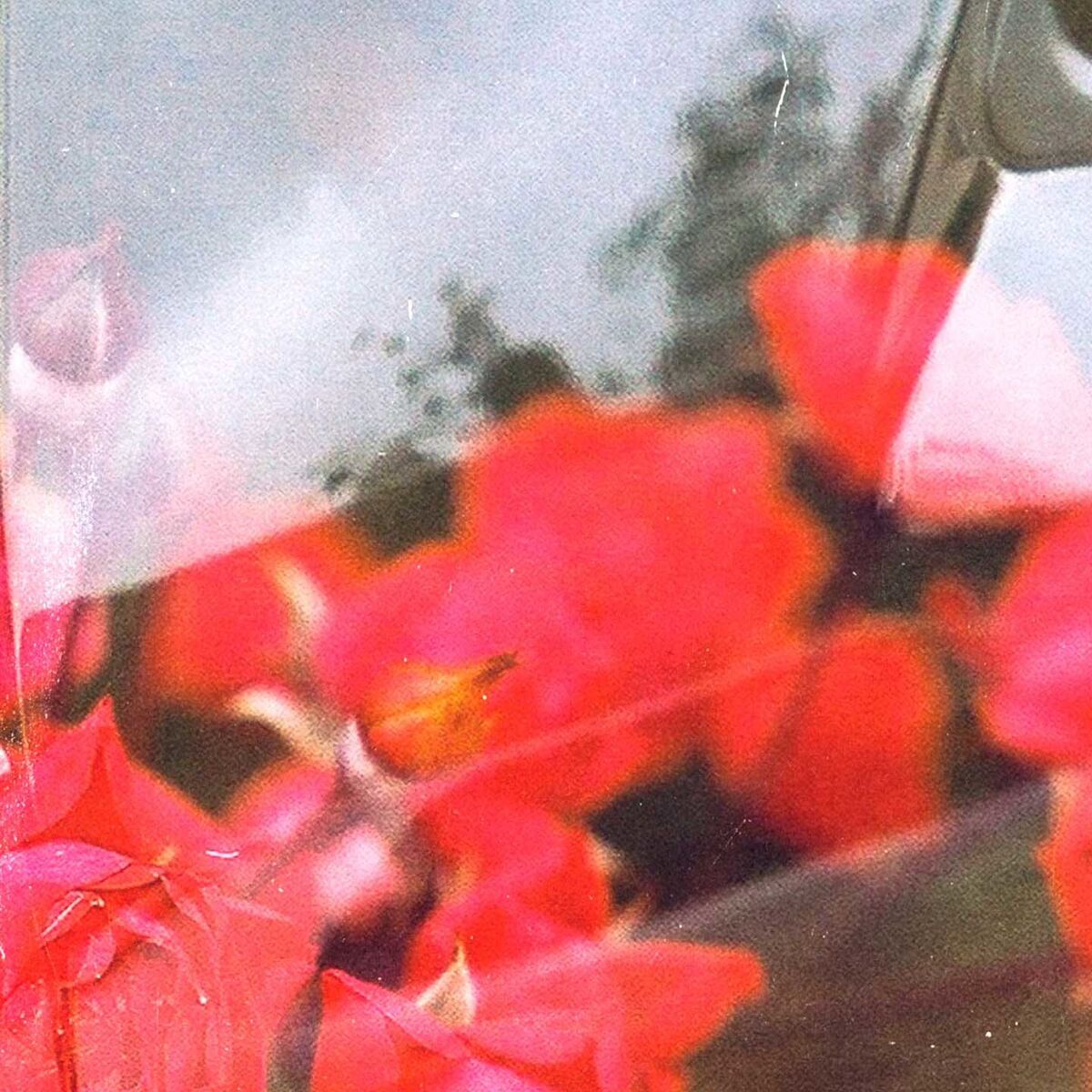 Album cover of Morning In Massouri