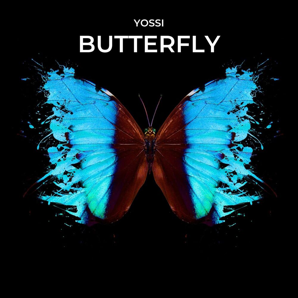 Picture of Butterfly