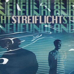 Cover of Streiflicht