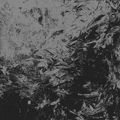 Noise Pattern