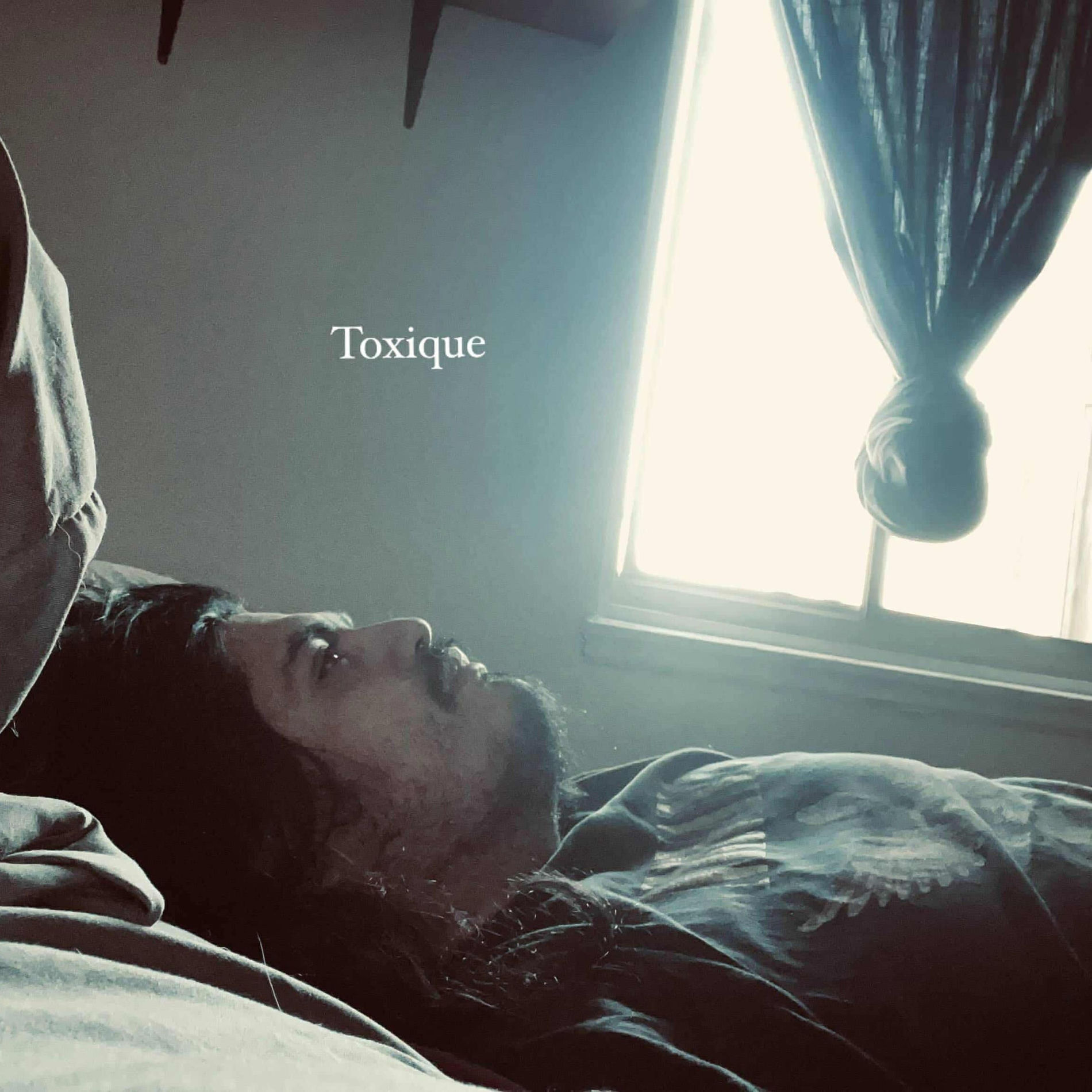 Album cover of TOXIQUE