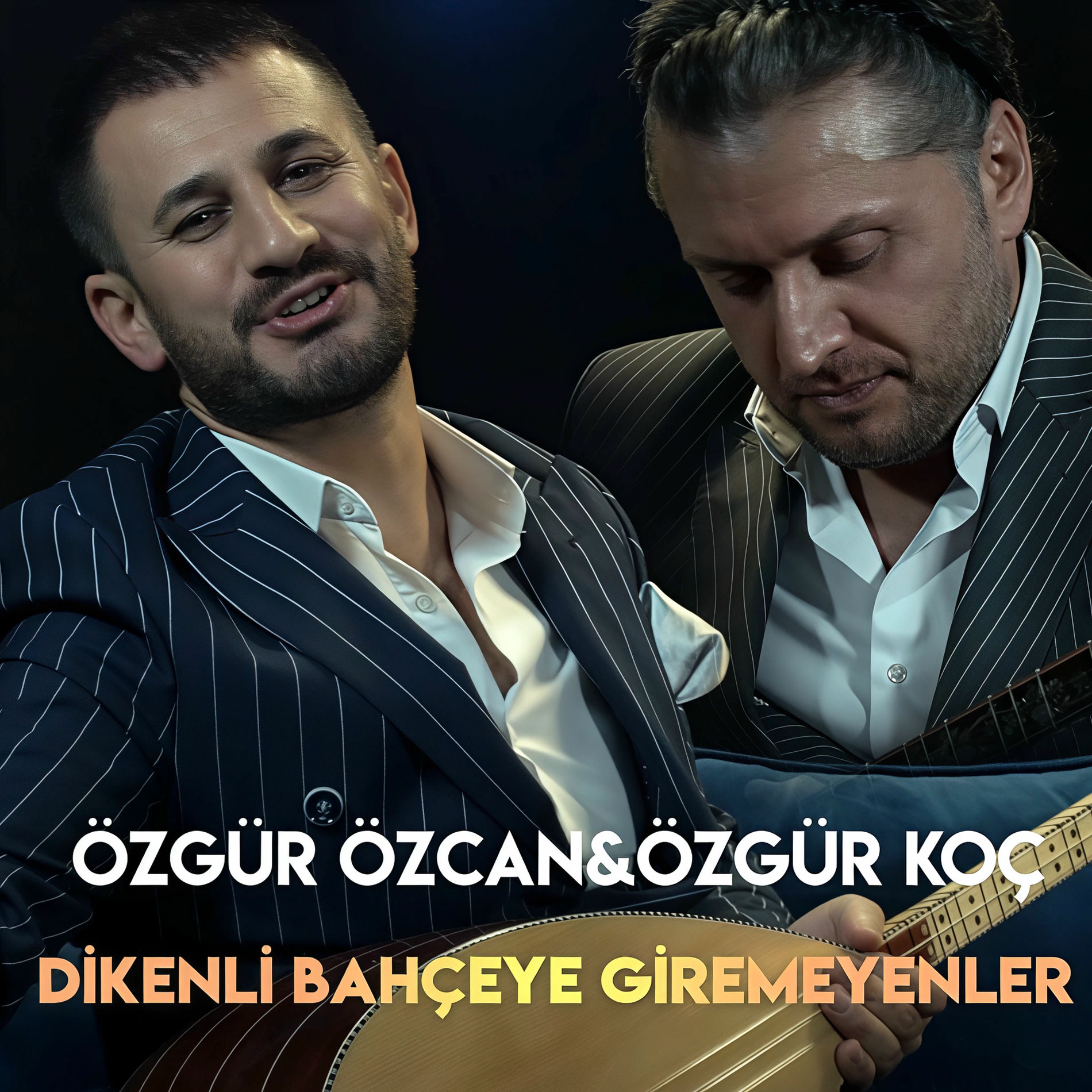 Album cover of Dikenli Bahçeye Giremeyenler