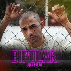 Cover of Bipolar