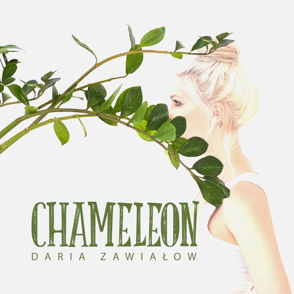 Picture of Chameleon