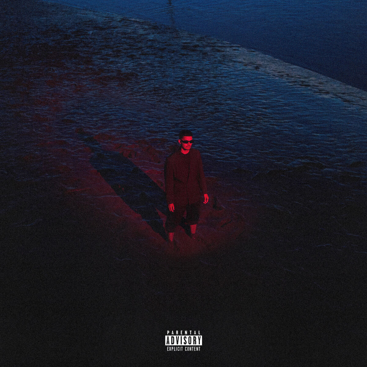 Album cover of Among My Souvenirs