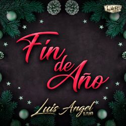 Cover of Fin de Año