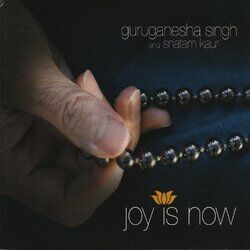 Cover of Joy is Now