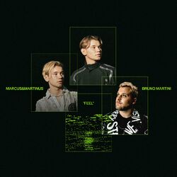 Cover of Feel