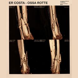 Cover of Ossa rotte
