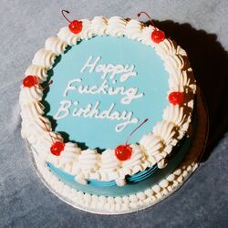 Cover of Happy Fucking Birthday