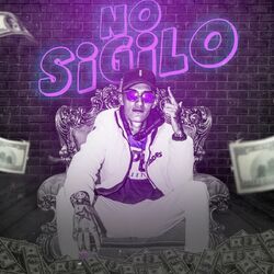 Cover of No Sigilo