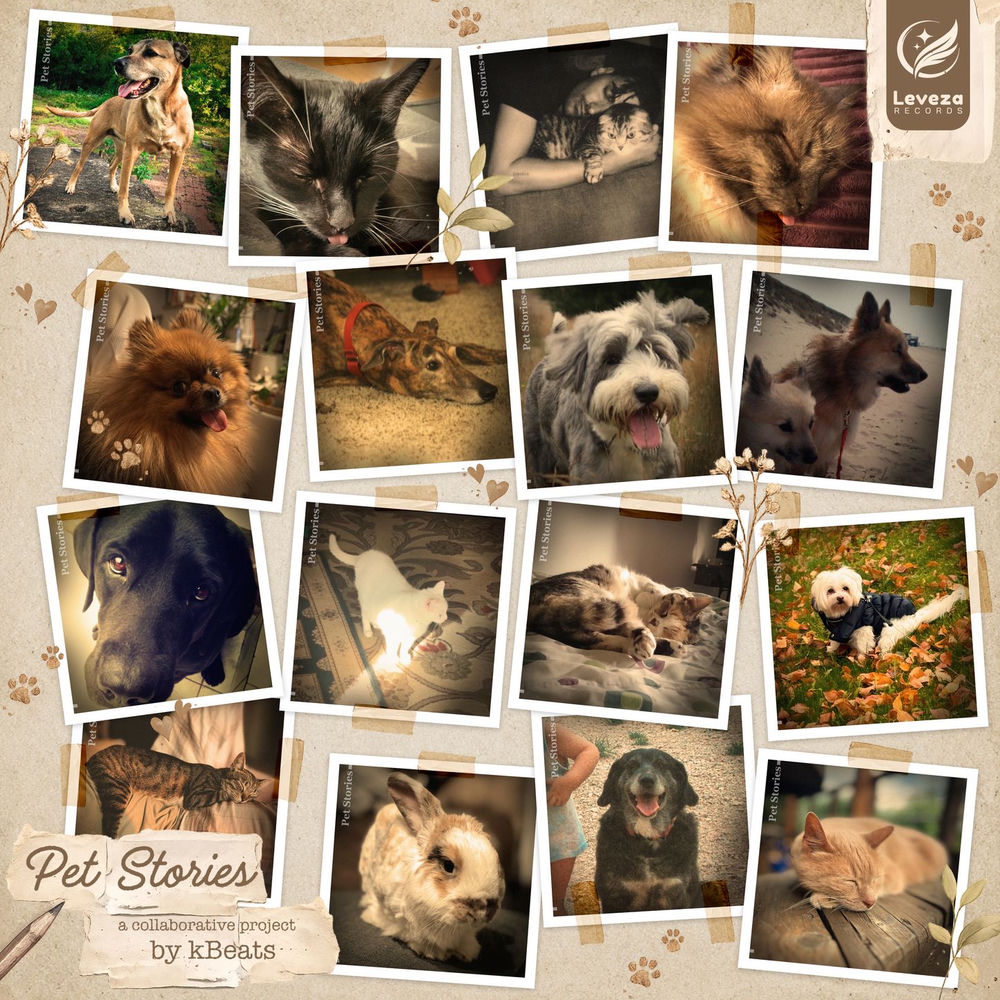 Pet Stories - A collaborative project by kBeats