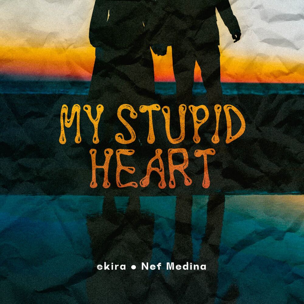 Picture of My Stupid Heart