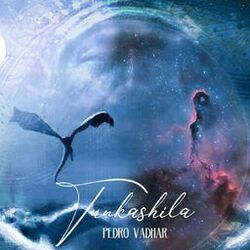 Cover of Tunkashila
