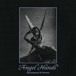 Cover of Angel Hands
