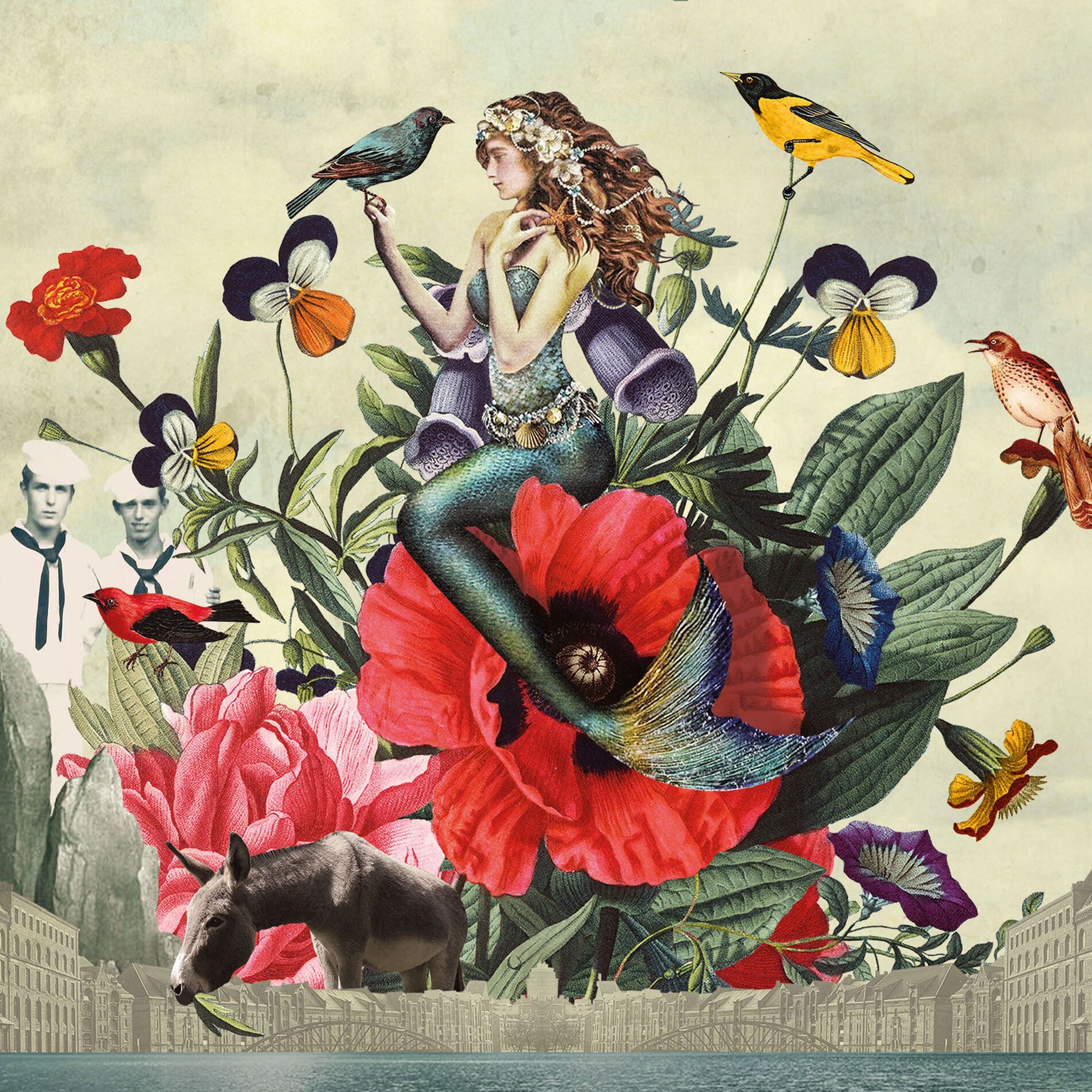 Album cover of Vasalis