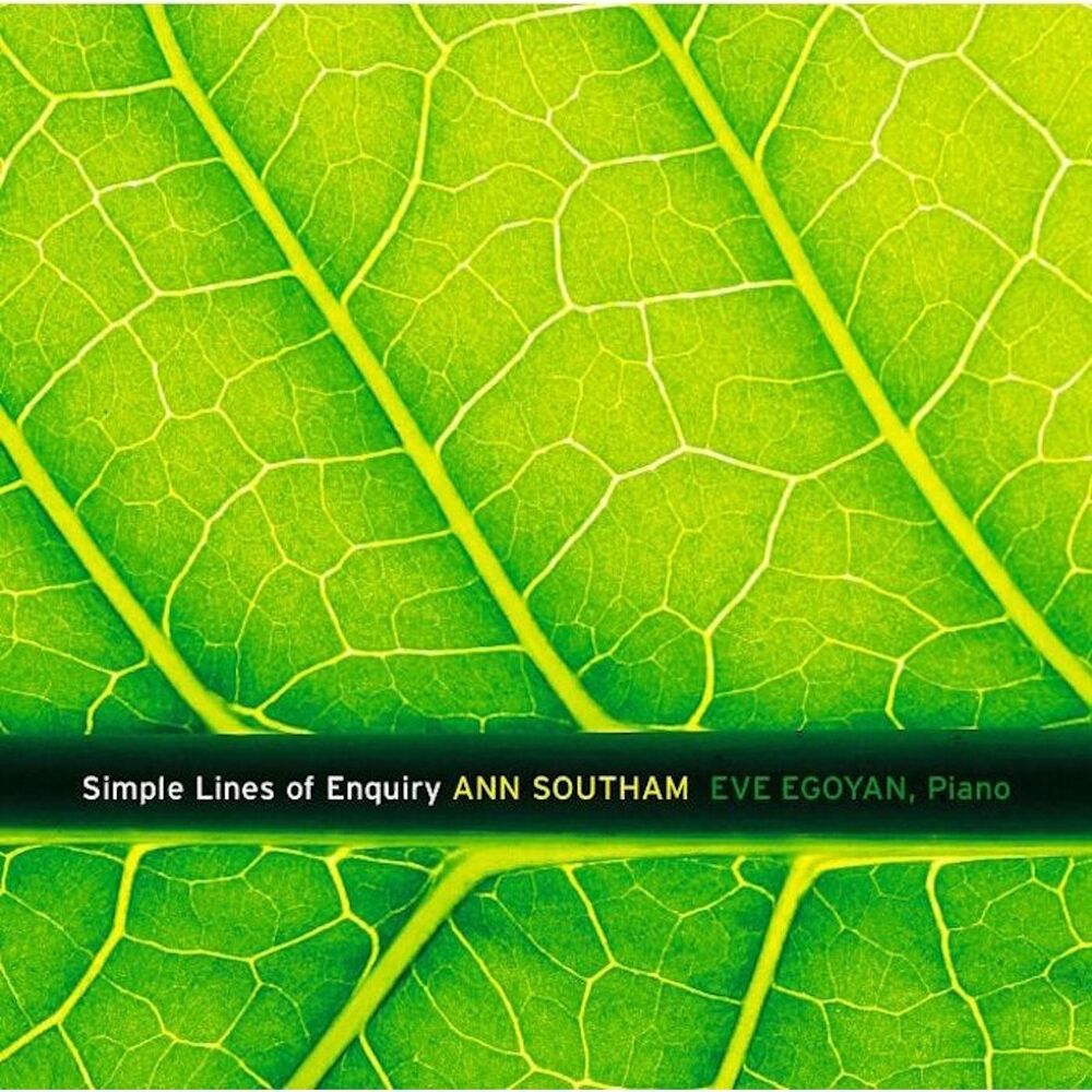 Picture of Simple Lines of Enquiry