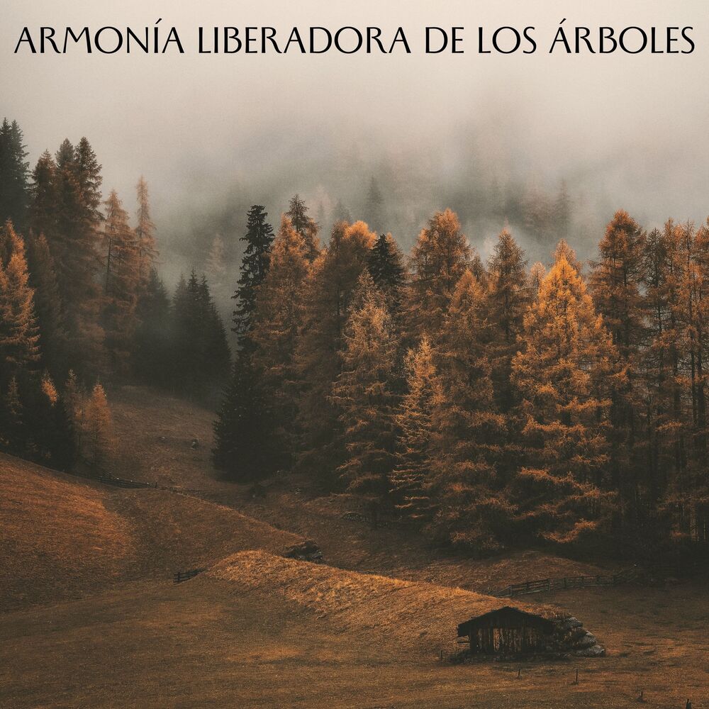 Picture of Armonía Liberadora De Los Árboles