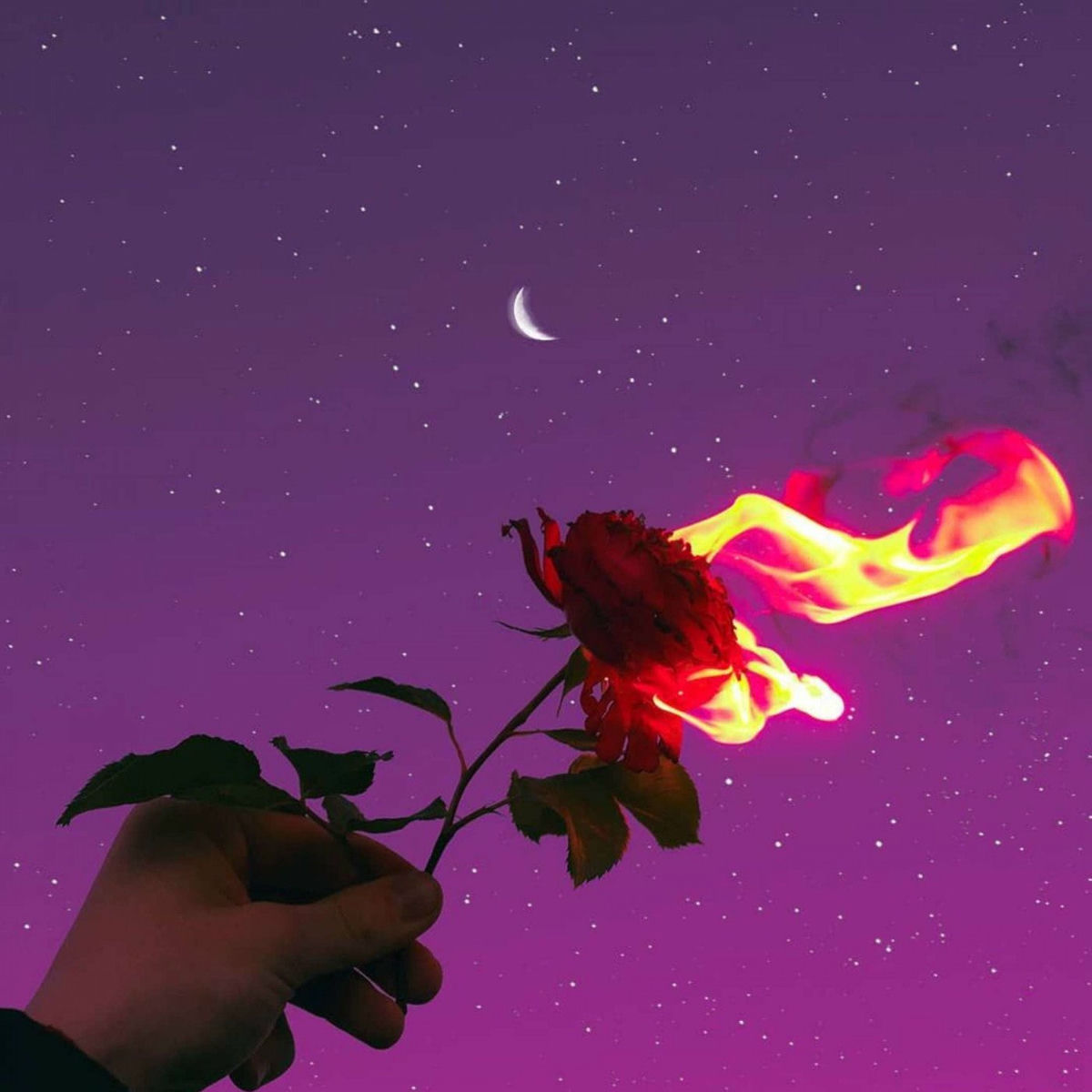 Album cover of I Miss You