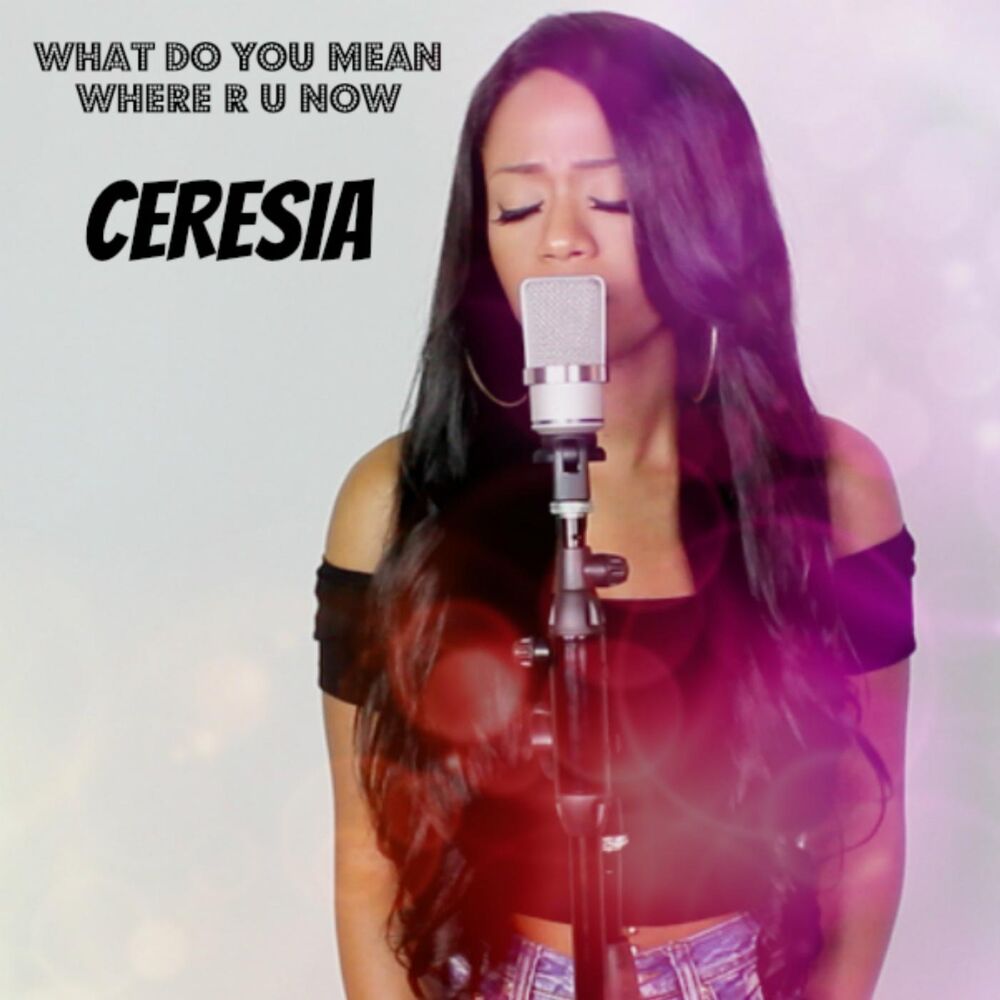 Picture of What Do You Mean / Where R U Now