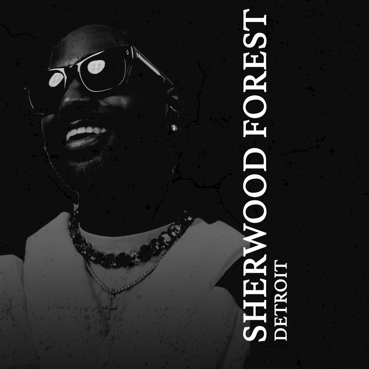 Album picture of Sherwood Forest