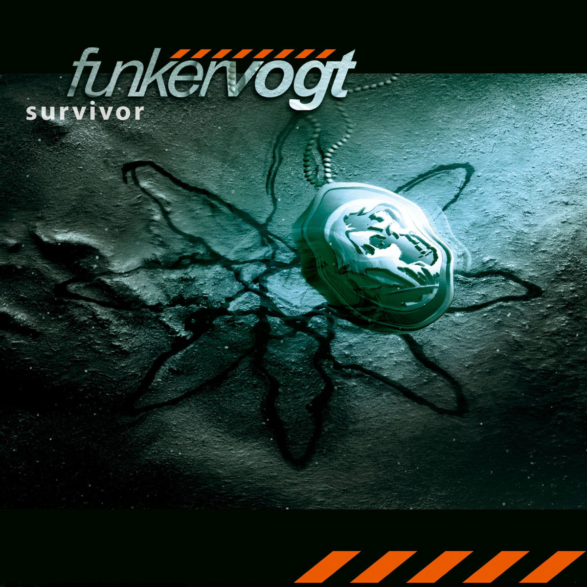 Album cover of Survivor