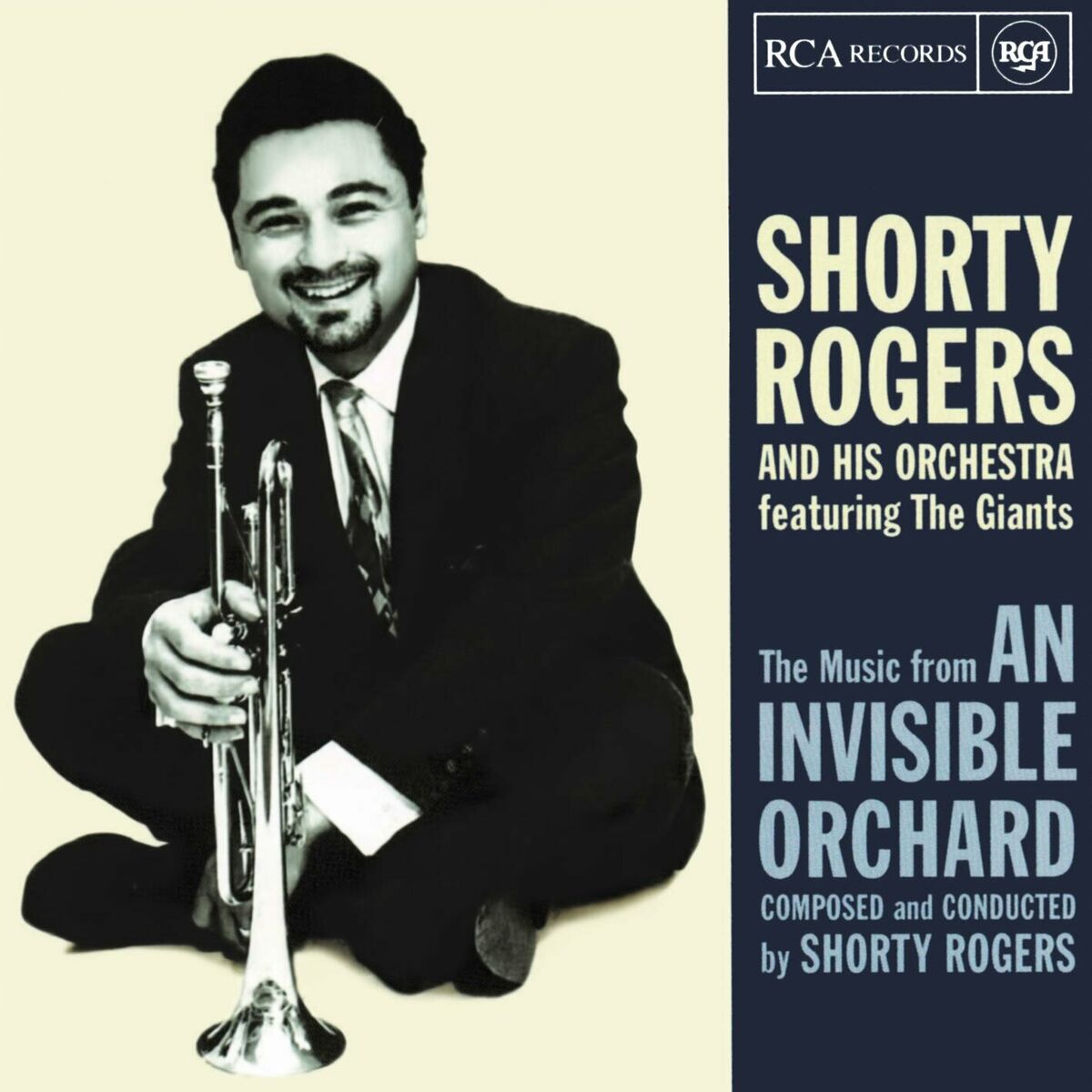 Album cover of Music From An Invisible Orchard