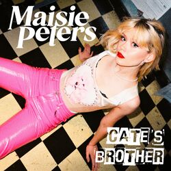 Cover of Cate’s Brother